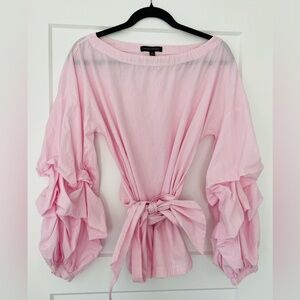 Banana Republic Women's Gingham Pink Ruffle Sleeve Blouse‎ with Waist Tie, Small